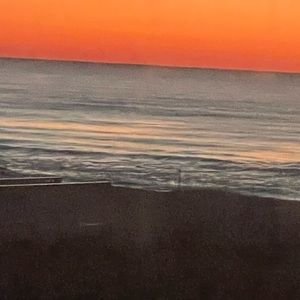 Meet your Posher, Bonnie